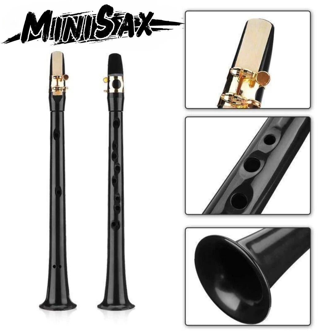 MiniSax™ - Handzame saxofoon voor beginners en gevorderden