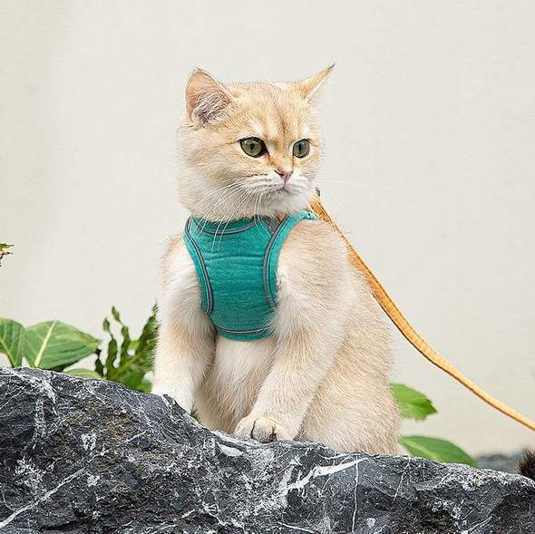 KittyLeash™ - Comfortabele harnas en riemset voor katten