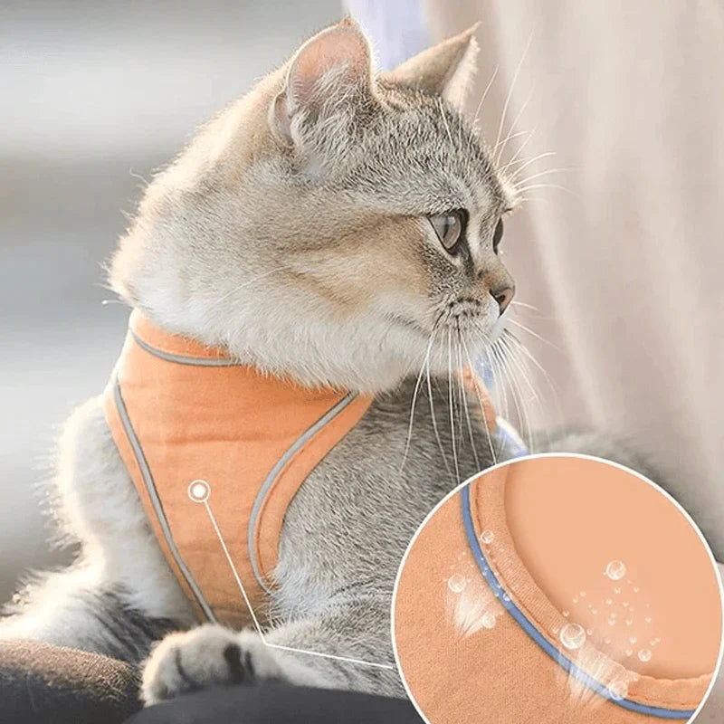 KittyLeash™ - Comfortabele harnas en riemset voor katten