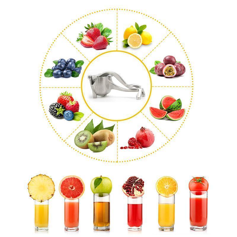 FruitJuicer™ - Ergonomische roestvrijstalen fruitpersen