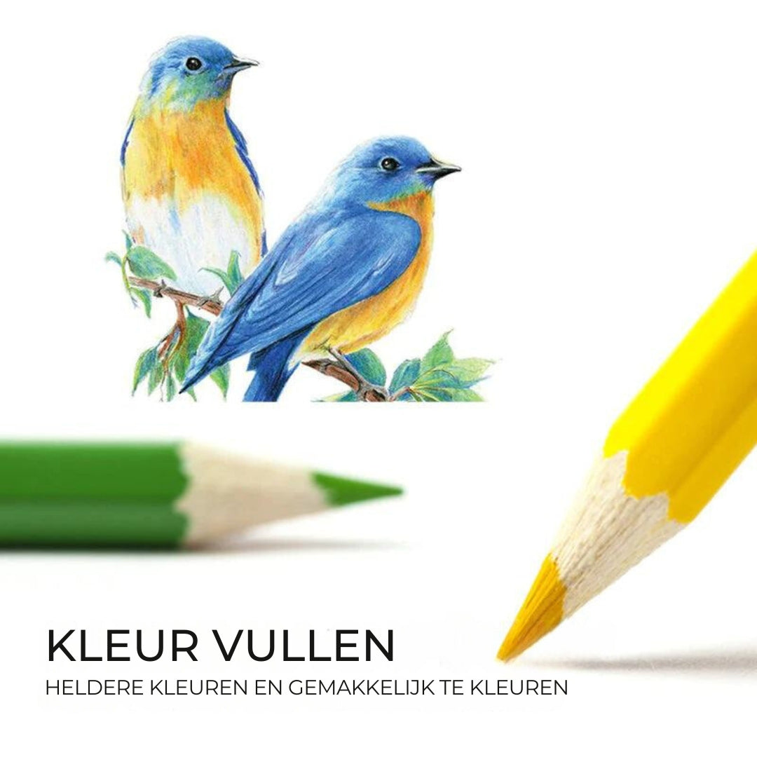 DrawSet™ - Oliekleurige kleurpotloodset voor alle leeftijden