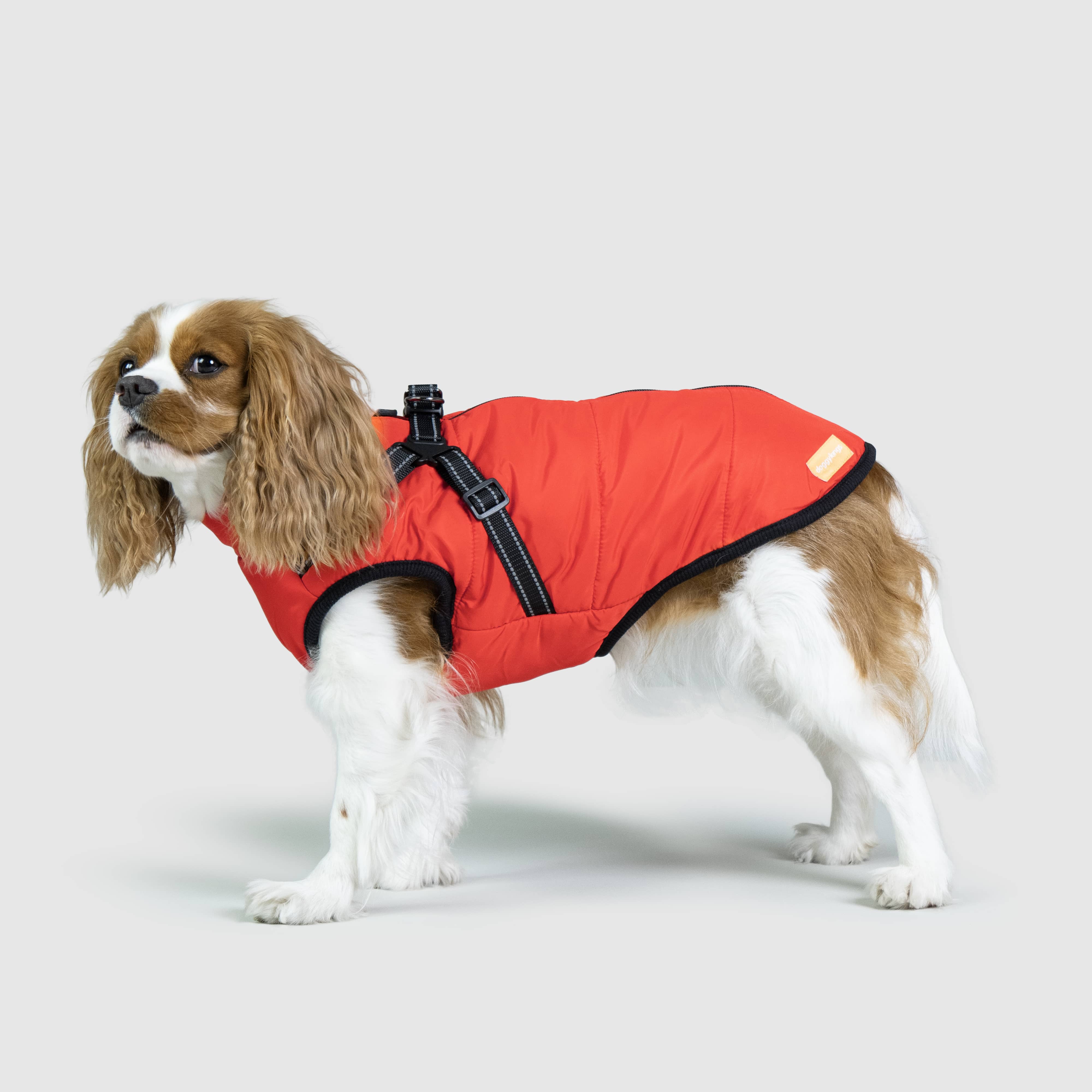 DoggyKings™ 3 in 1 Jacket