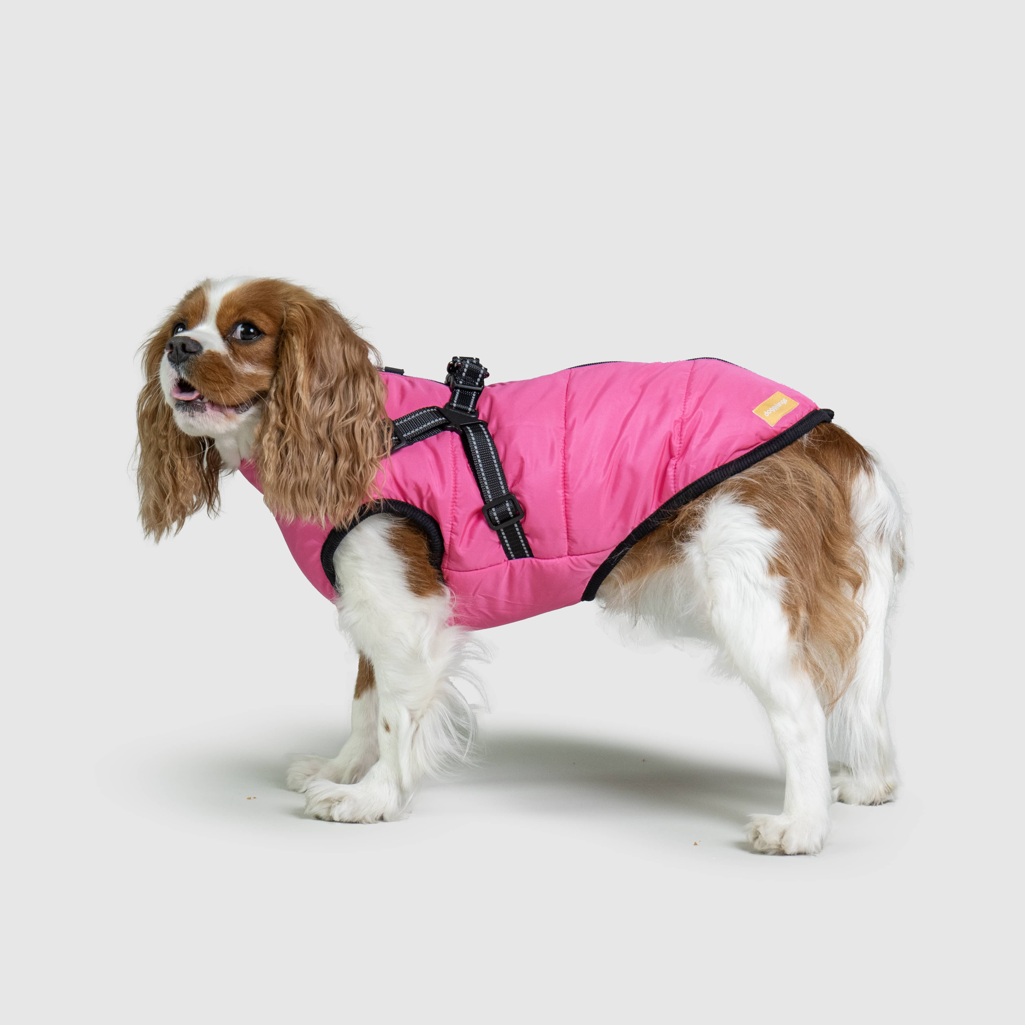 DoggyKings™ 3 in 1 Jacket