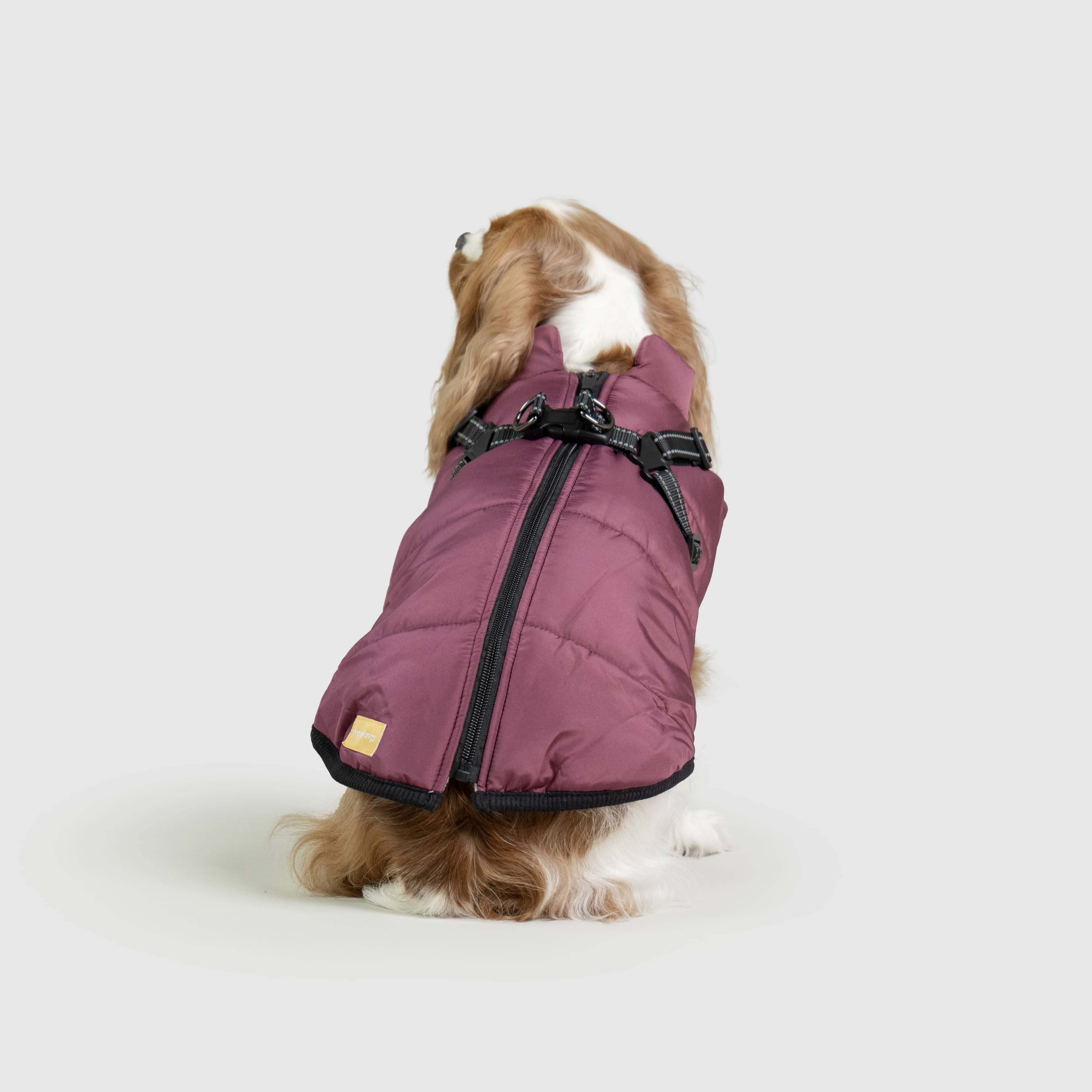 DoggyKings™ 3 in 1 Jacket