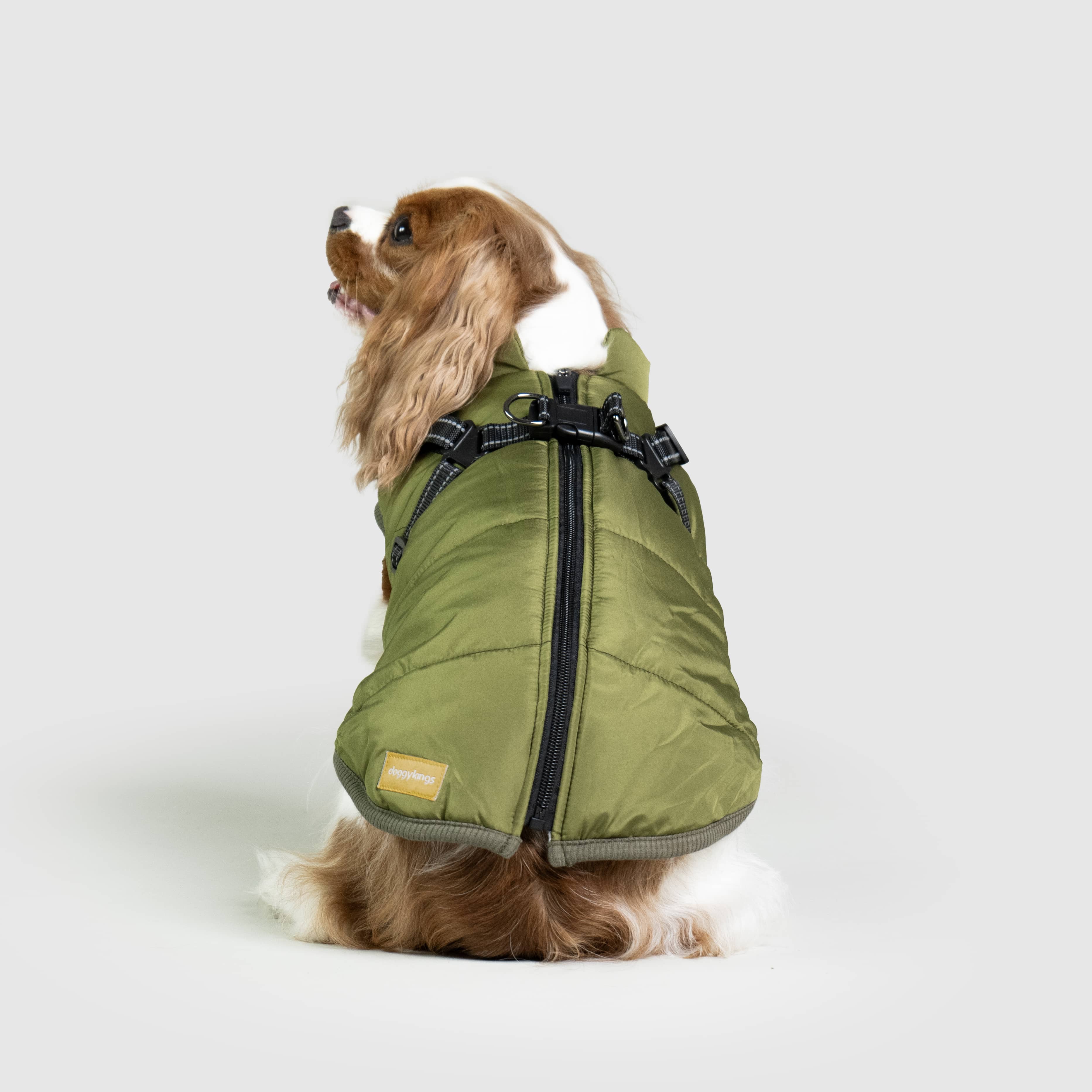 DoggyKings™ 3 in 1 Jacket