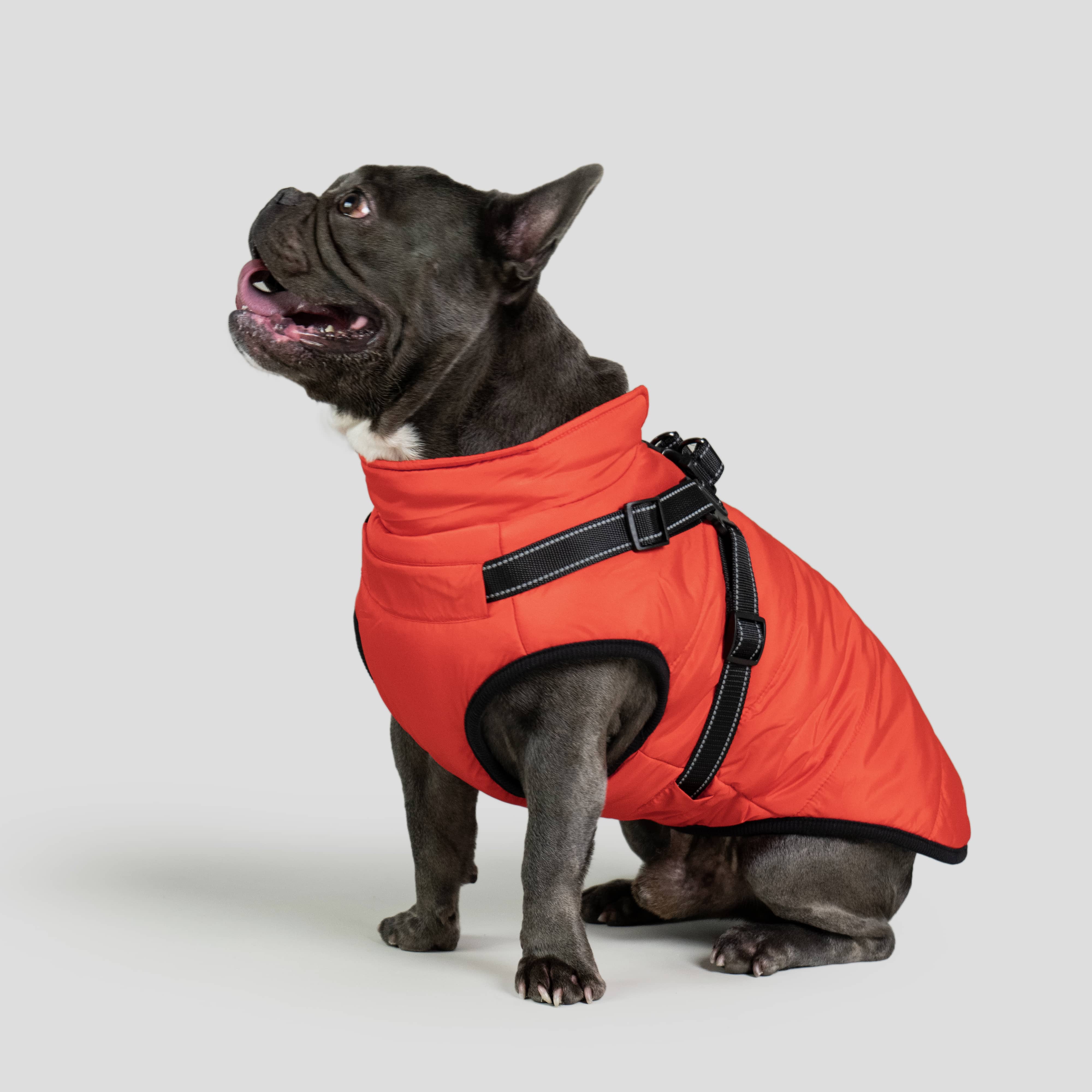 DoggyKings™ 3 in 1 Jacket