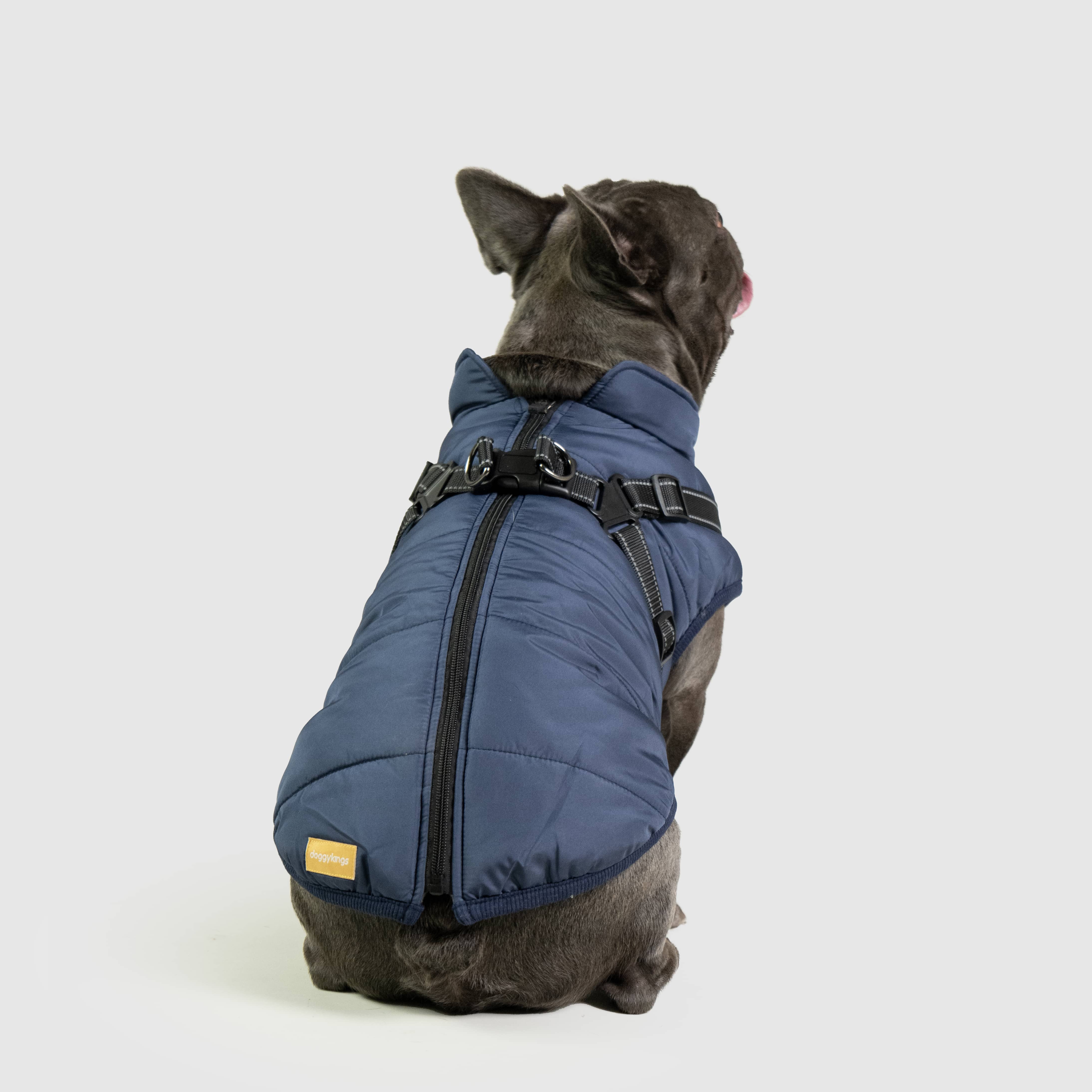 DoggyKings™ 3 in 1 Jacket