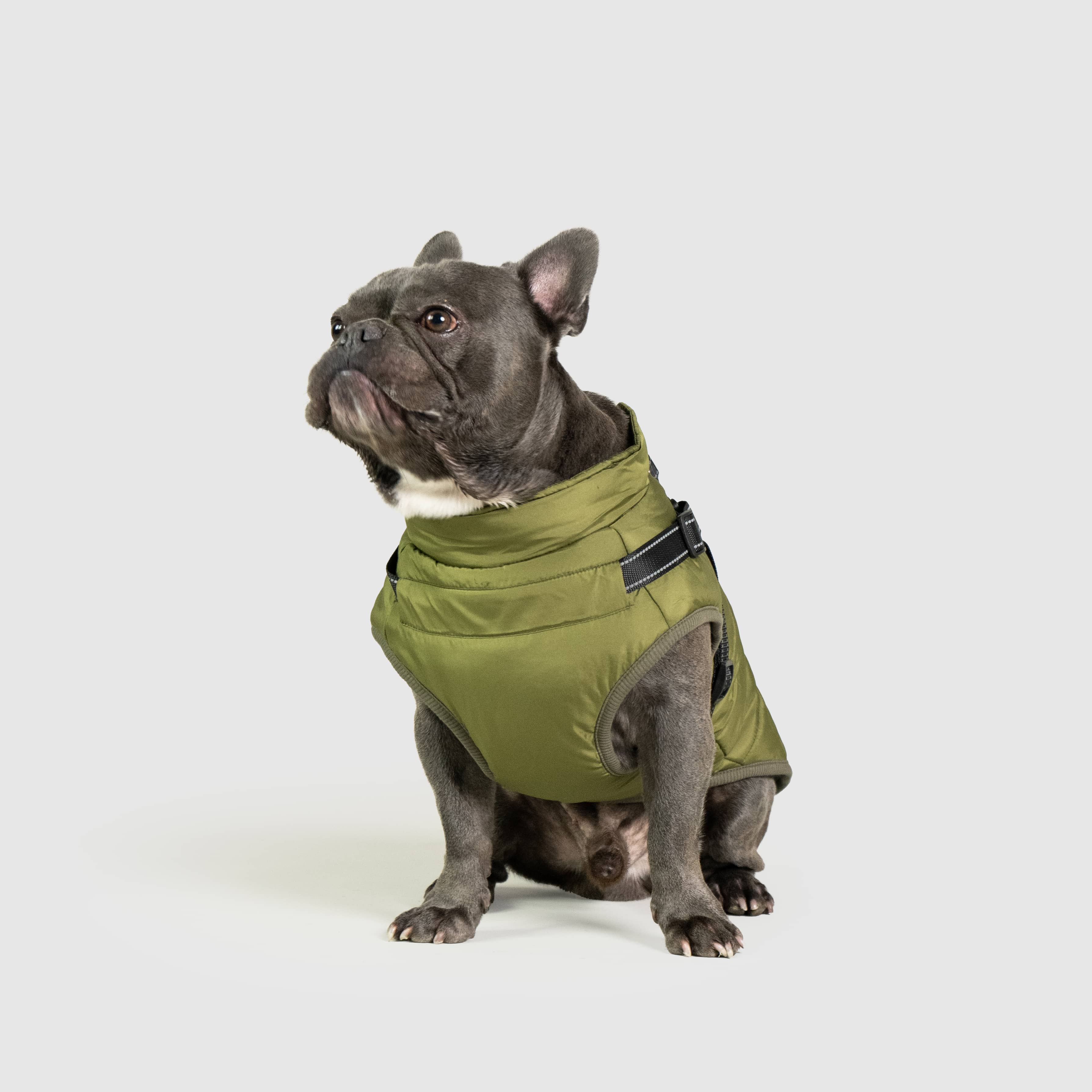 DoggyKings™ 3 in 1 Jacket