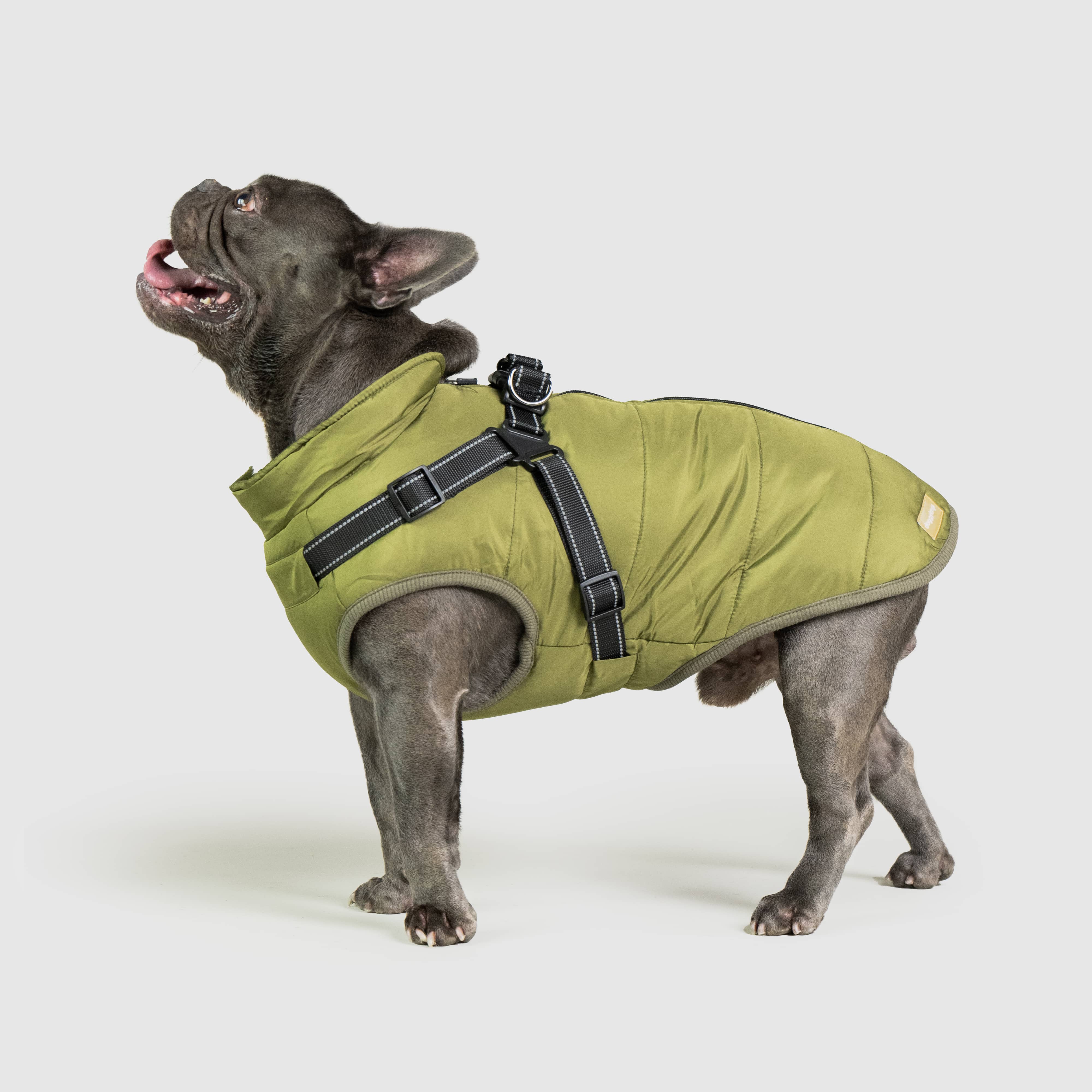 DoggyKings™ 3 in 1 Jacket