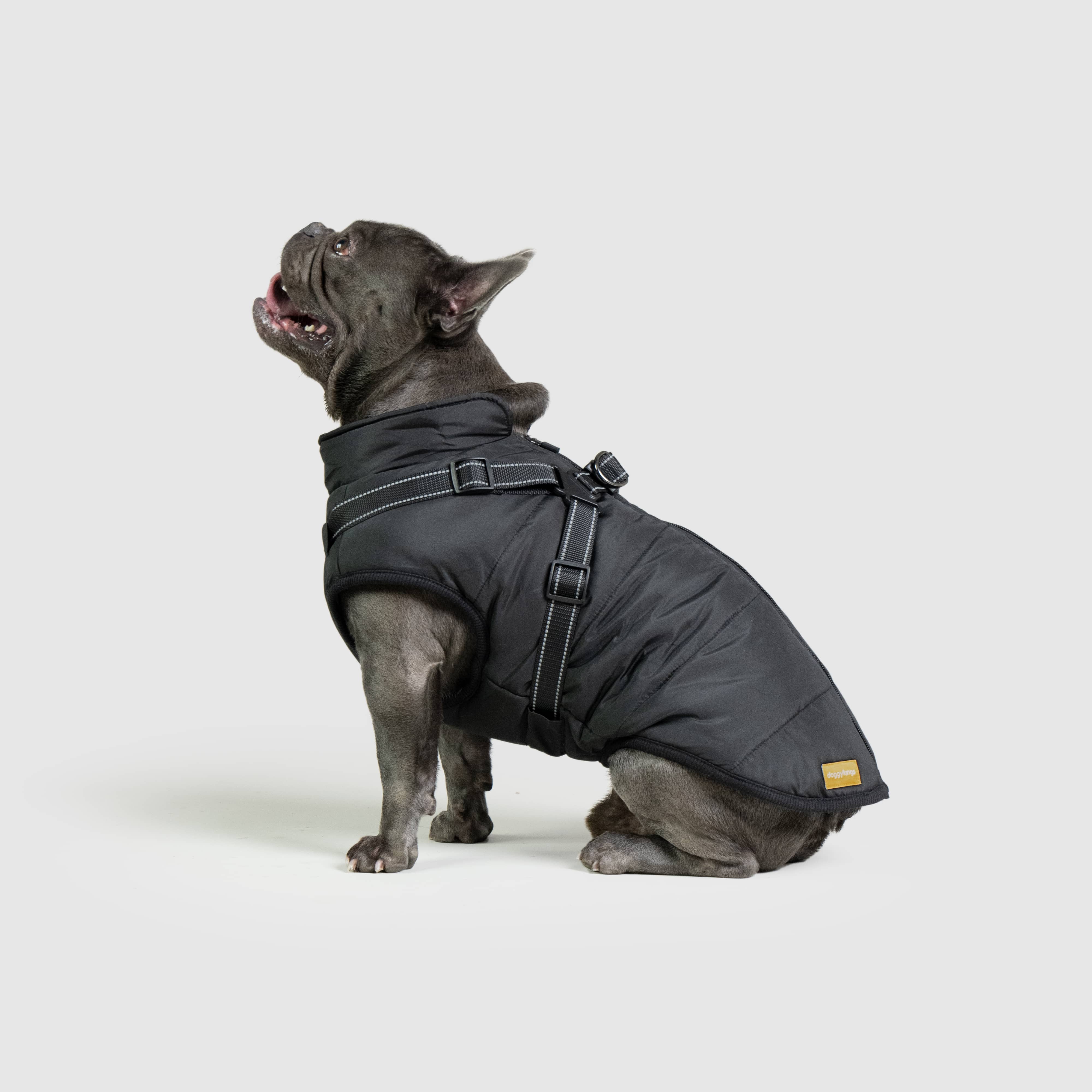 DoggyKings™ 3 in 1 Jacket