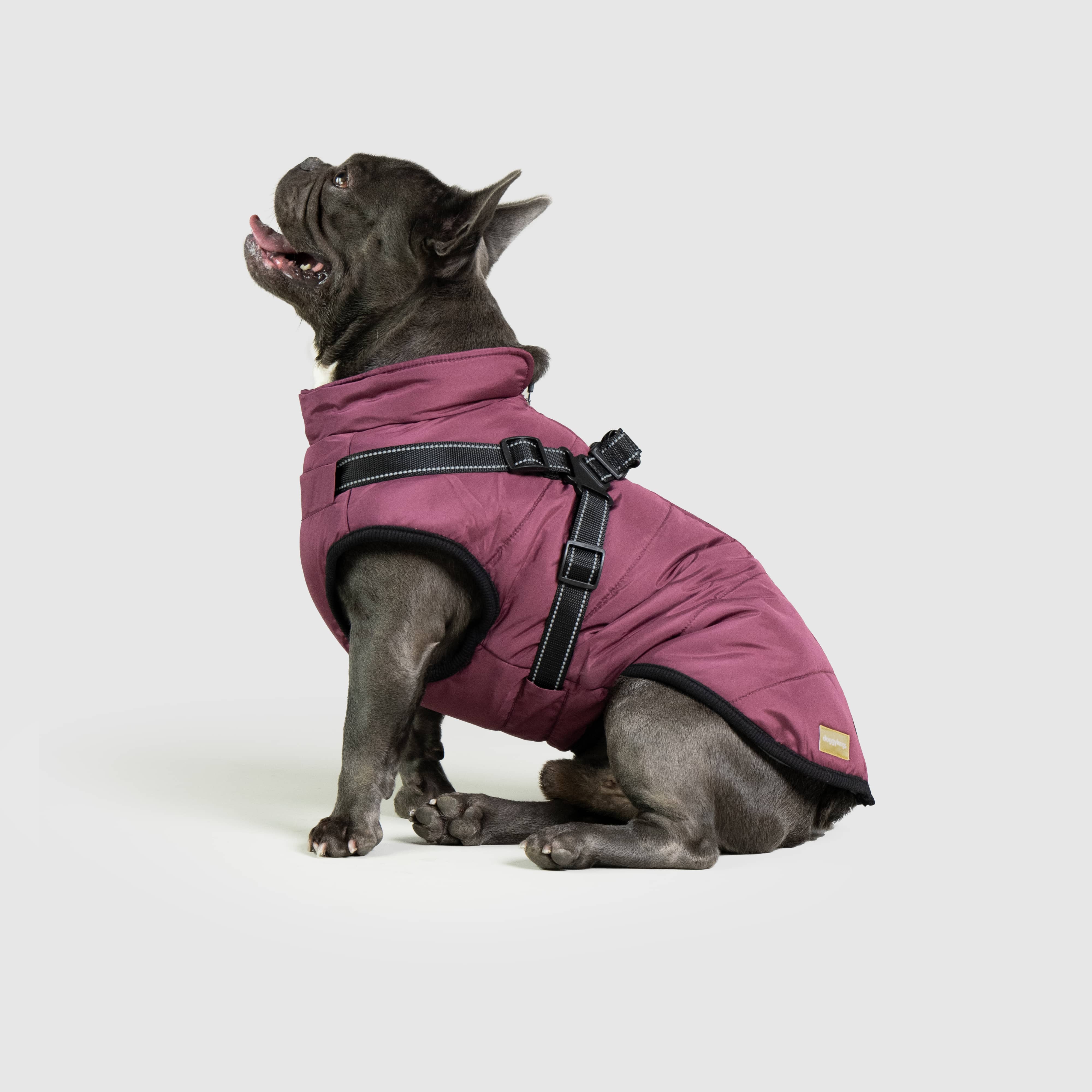 DoggyKings™ 3 in 1 Jacket