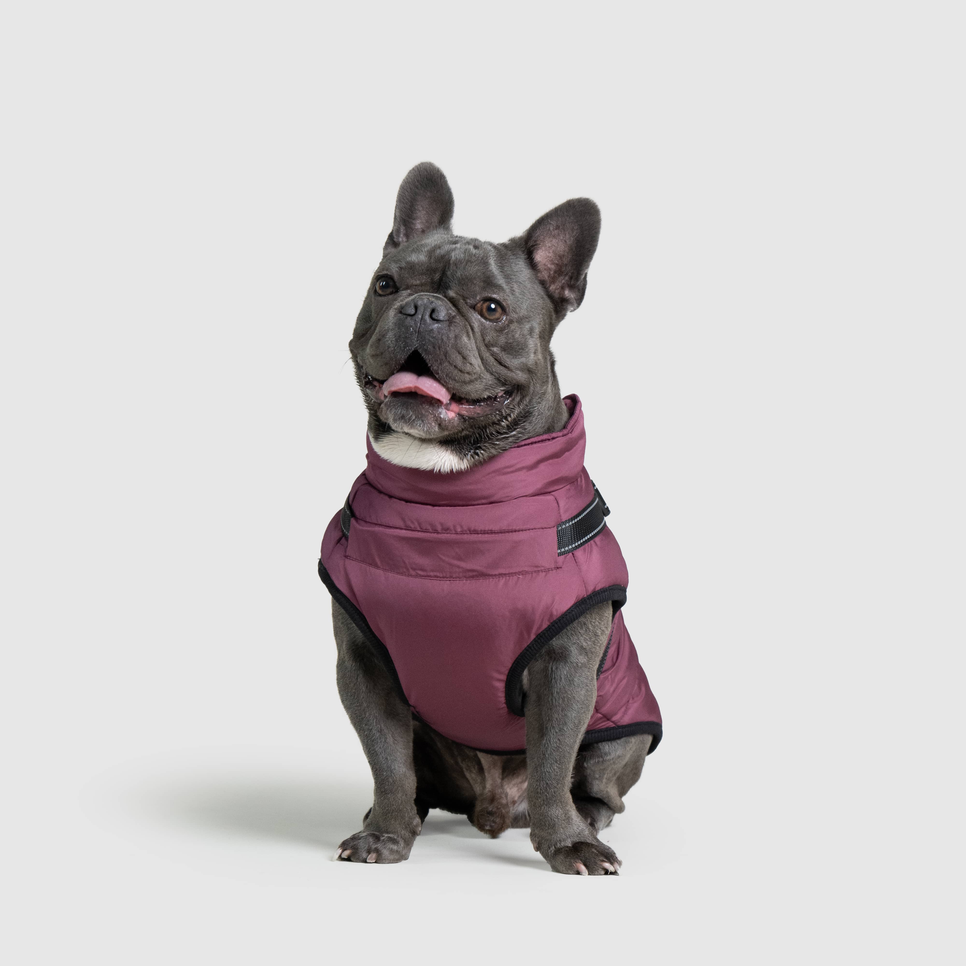 DoggyKings™ 3 in 1 Jacket