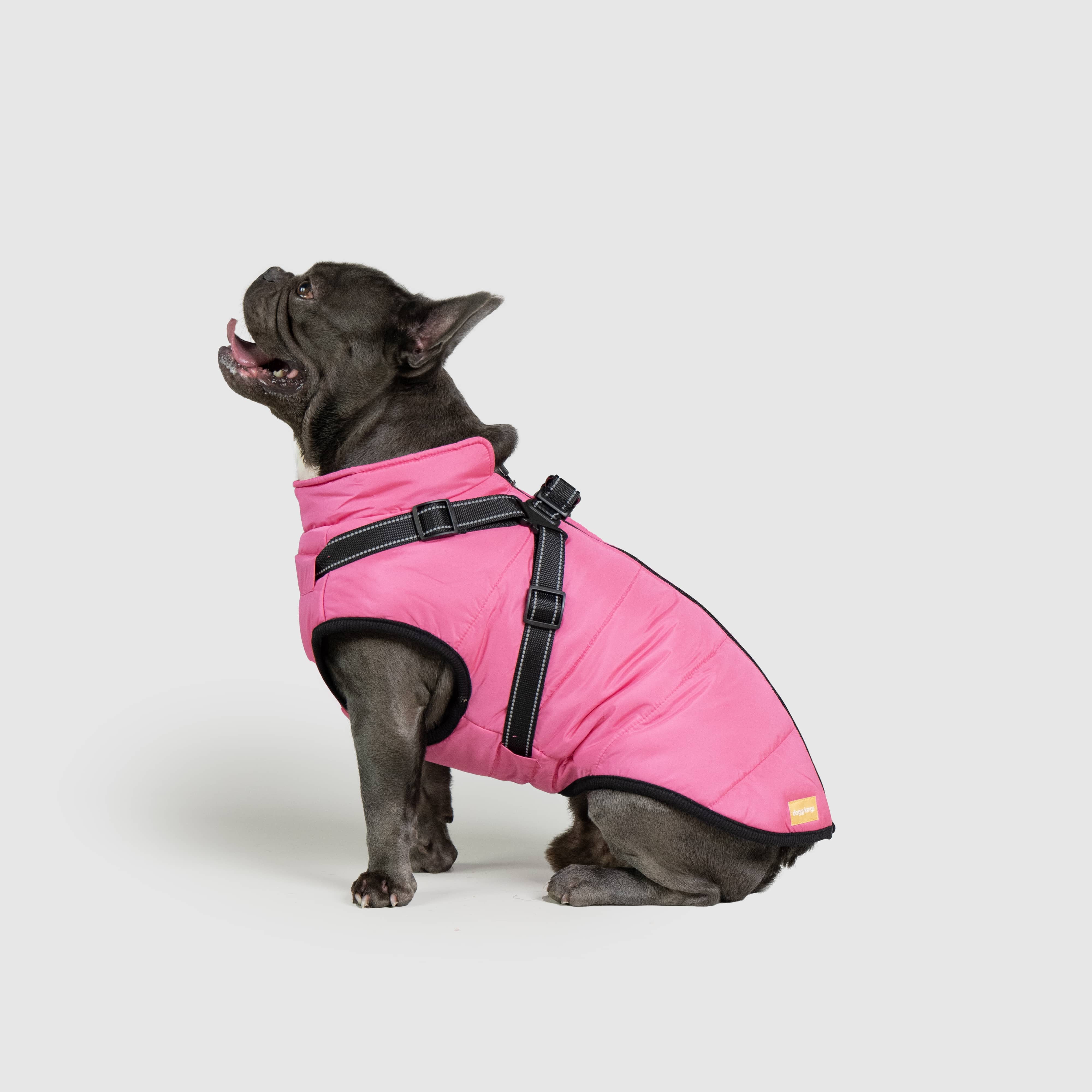 DoggyKings™ 3 in 1 Jacket