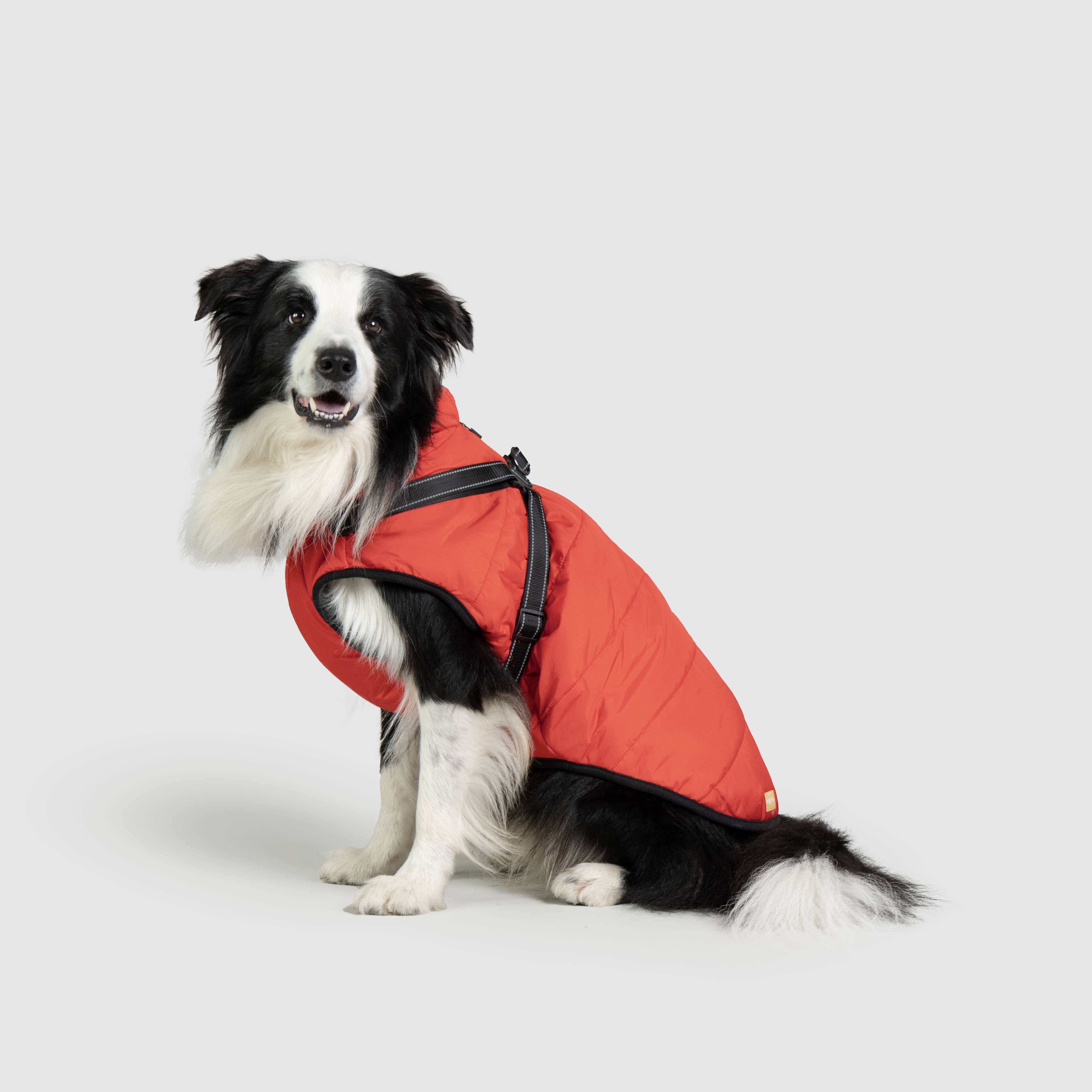 DoggyKings™ 3 in 1 Jacket