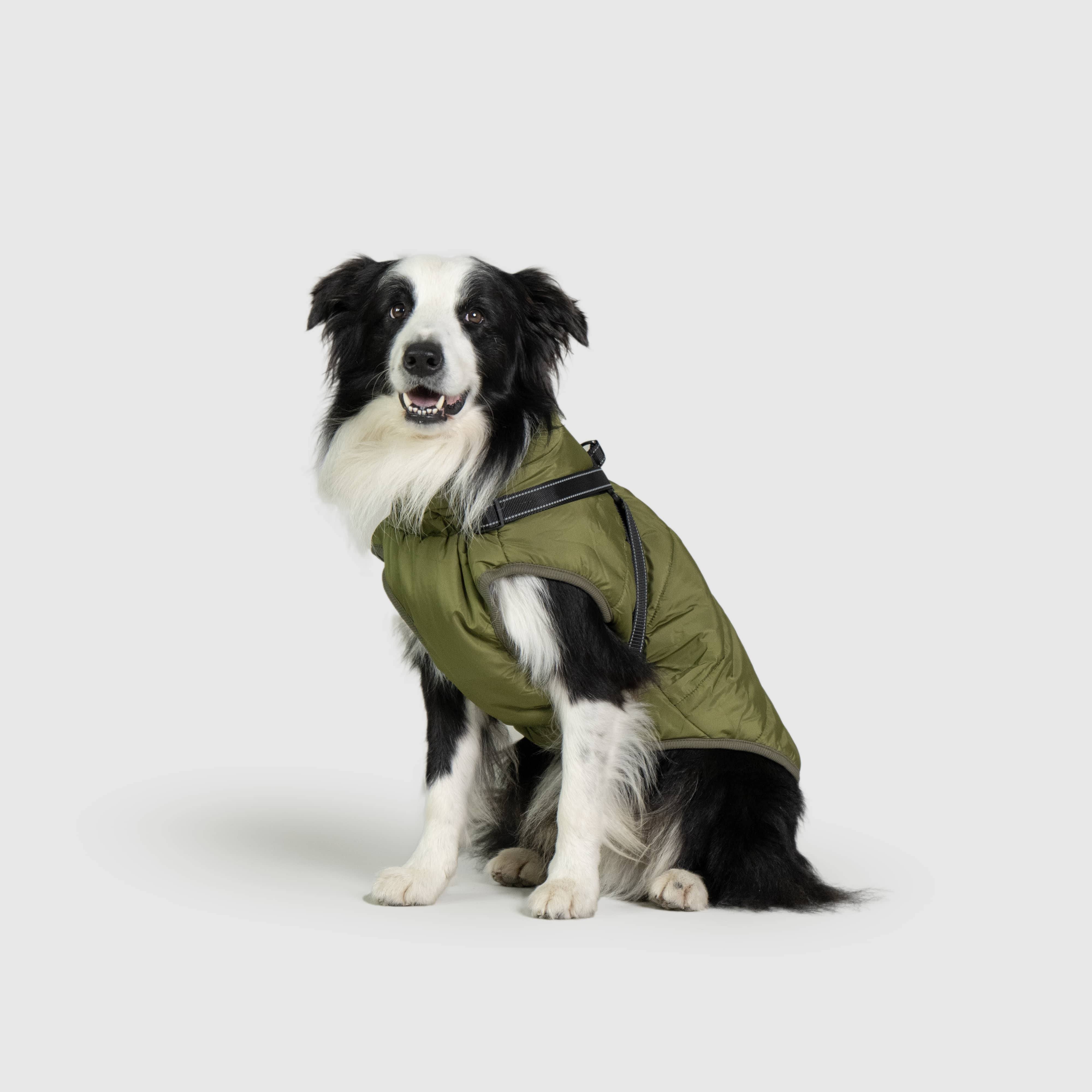 DoggyKings™ 3 in 1 Jacket