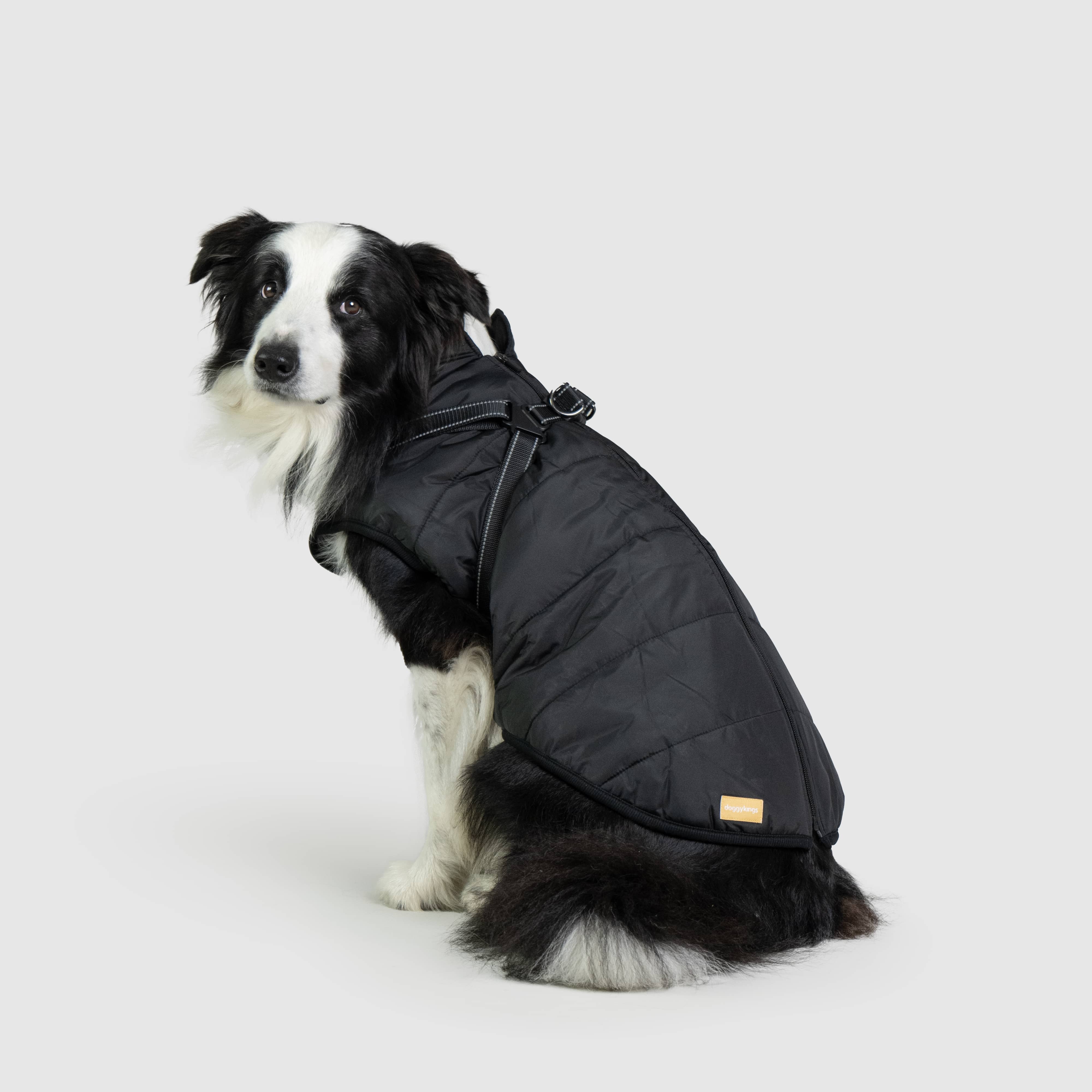 DoggyKings™ 3 in 1 Jacket