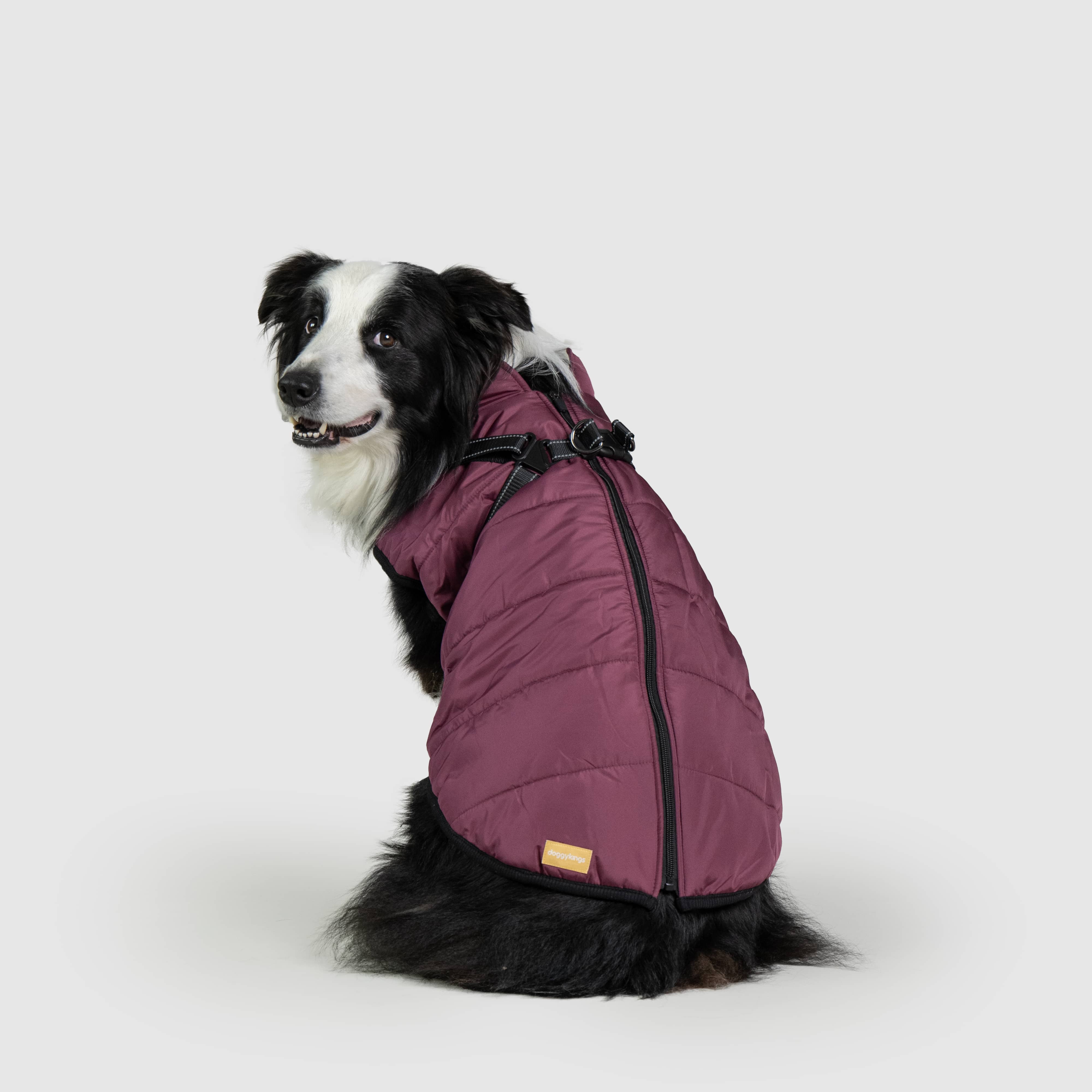 DoggyKings™ 3 in 1 Jacket