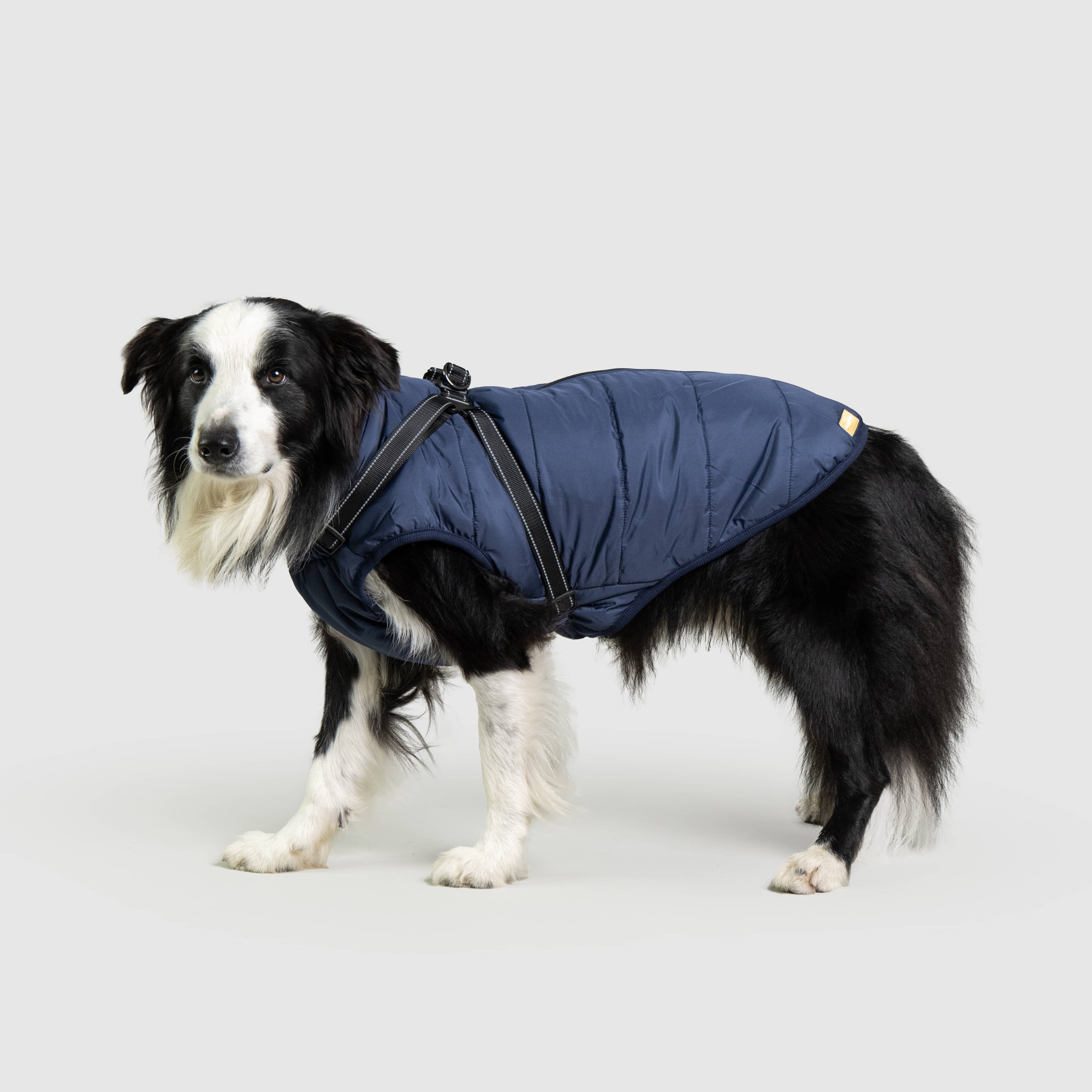 DoggyKings™ 3 in 1 Jacket