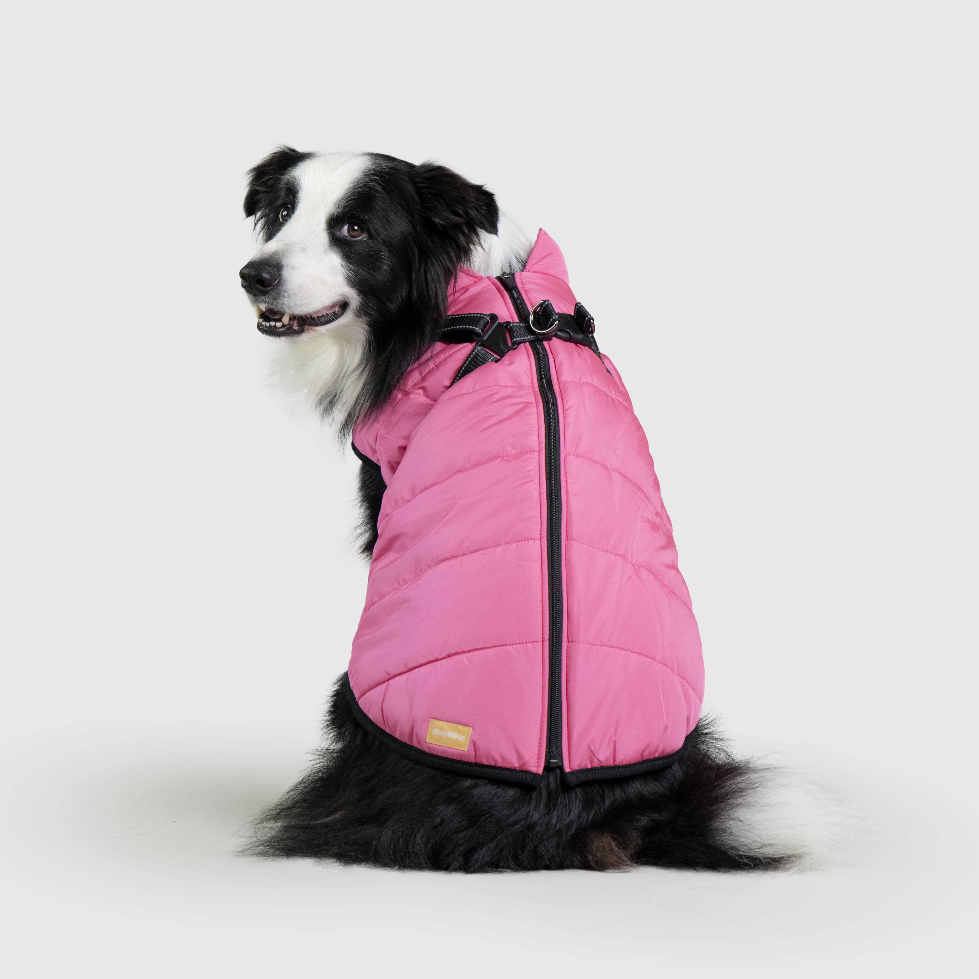 DoggyKings™ 3 in 1 Jacket